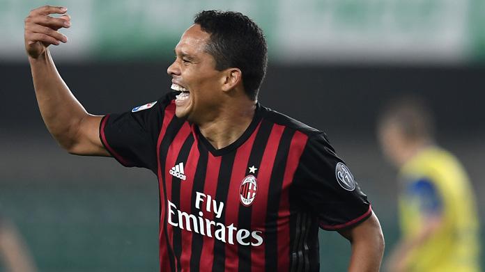 bacca