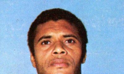 nene wikipedia 696x391