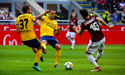 hellas verona