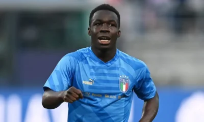 Gnonto MG0 2822 1024x621 1