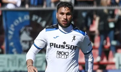 Palomino MG0 8368 e1688118806323