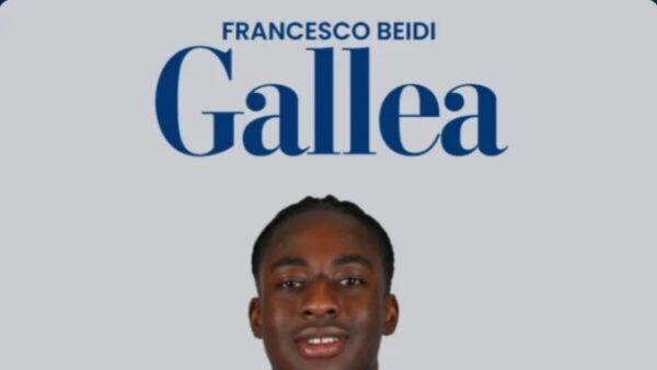 Gallea