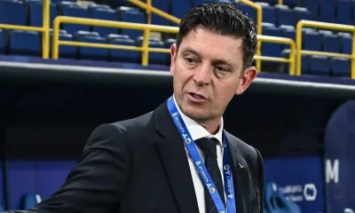 Rocchi e1728463258220