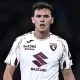 Asllani Bologna Torino