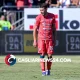 Belotti