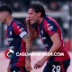 Borrelli