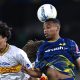 Hellas Verona Lecce serie A