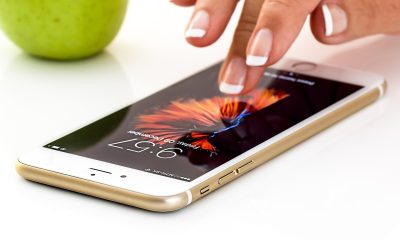 Stevepb smartphone 1894723