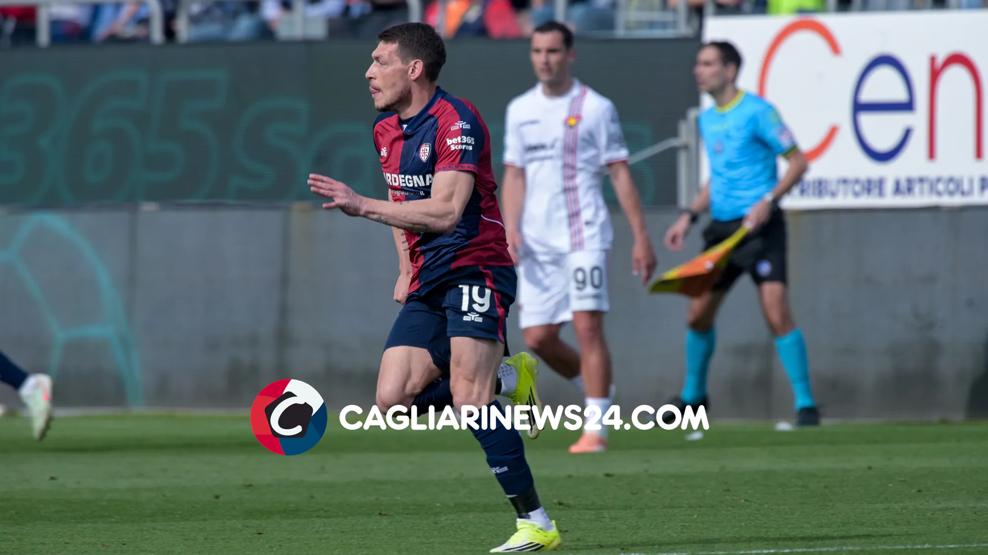 Belotti