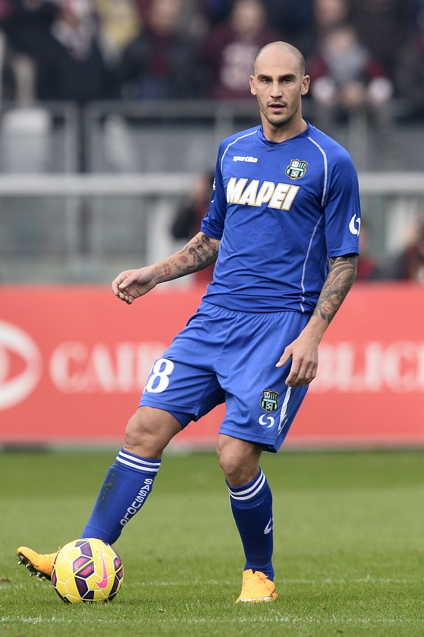 cannavaro azione sassuolo away novembre 2014 ifa