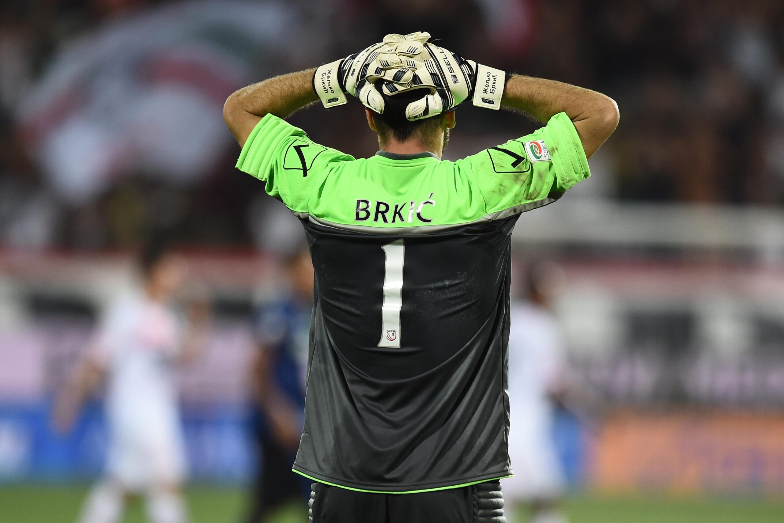 Bari, piace l'ex Cagliari Brkic 26 brkic spalle carpi agosto 2015 ifa scaled