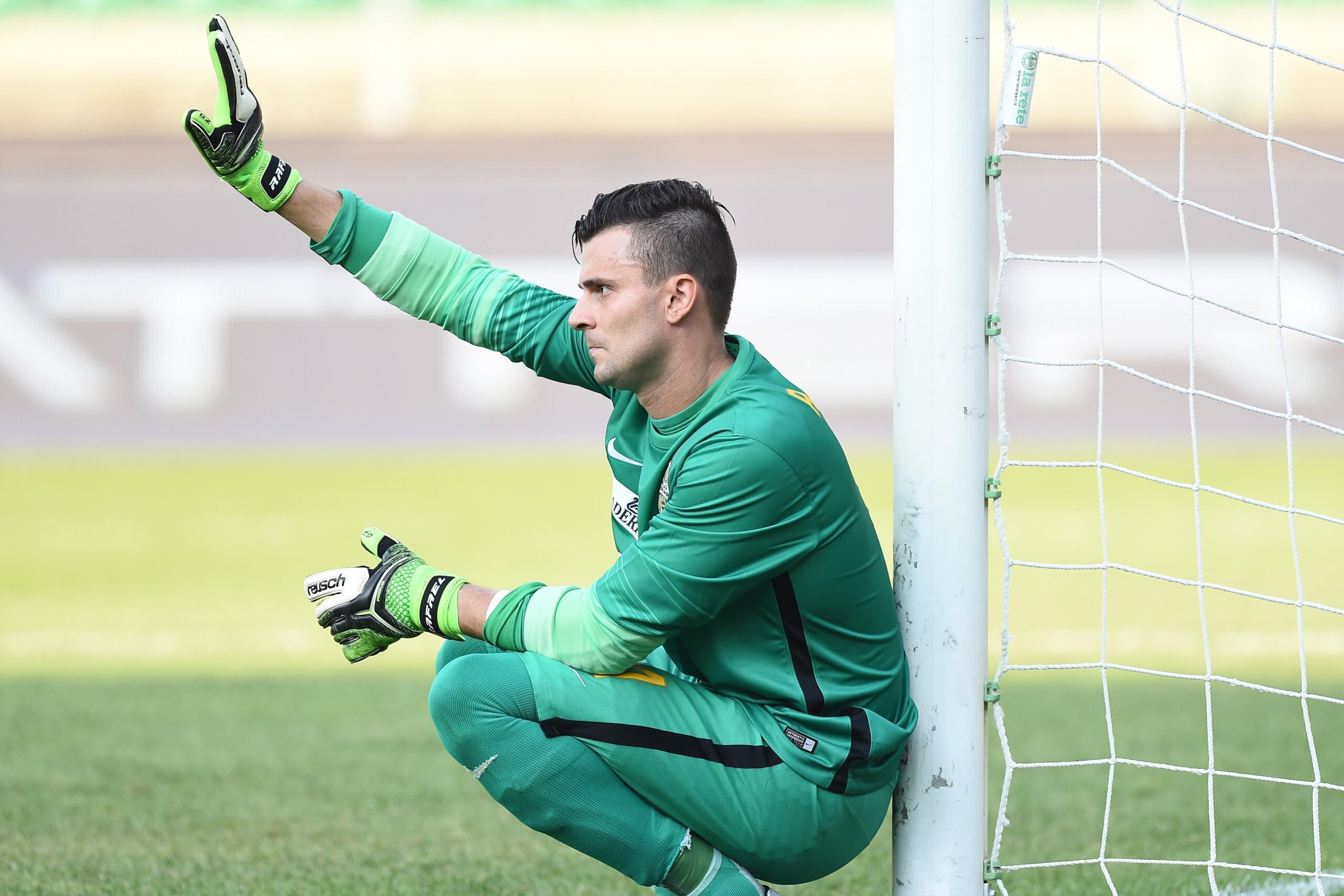 rafael verona agosto 2015 ifa scaled