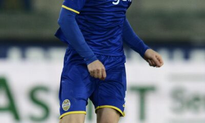 cacia verona 2013 ifa