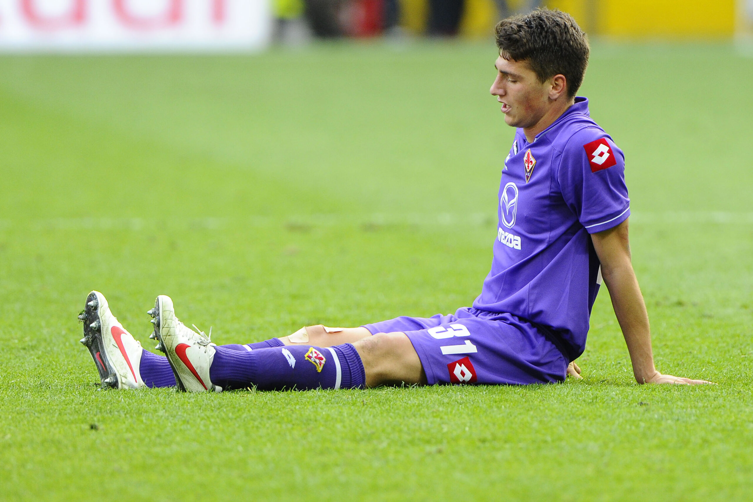 camporese ifa scaled