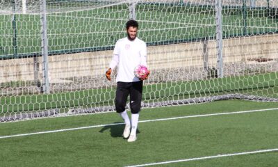 primavera montaperto