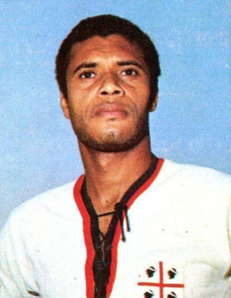 nene wikipedia e1504447085853