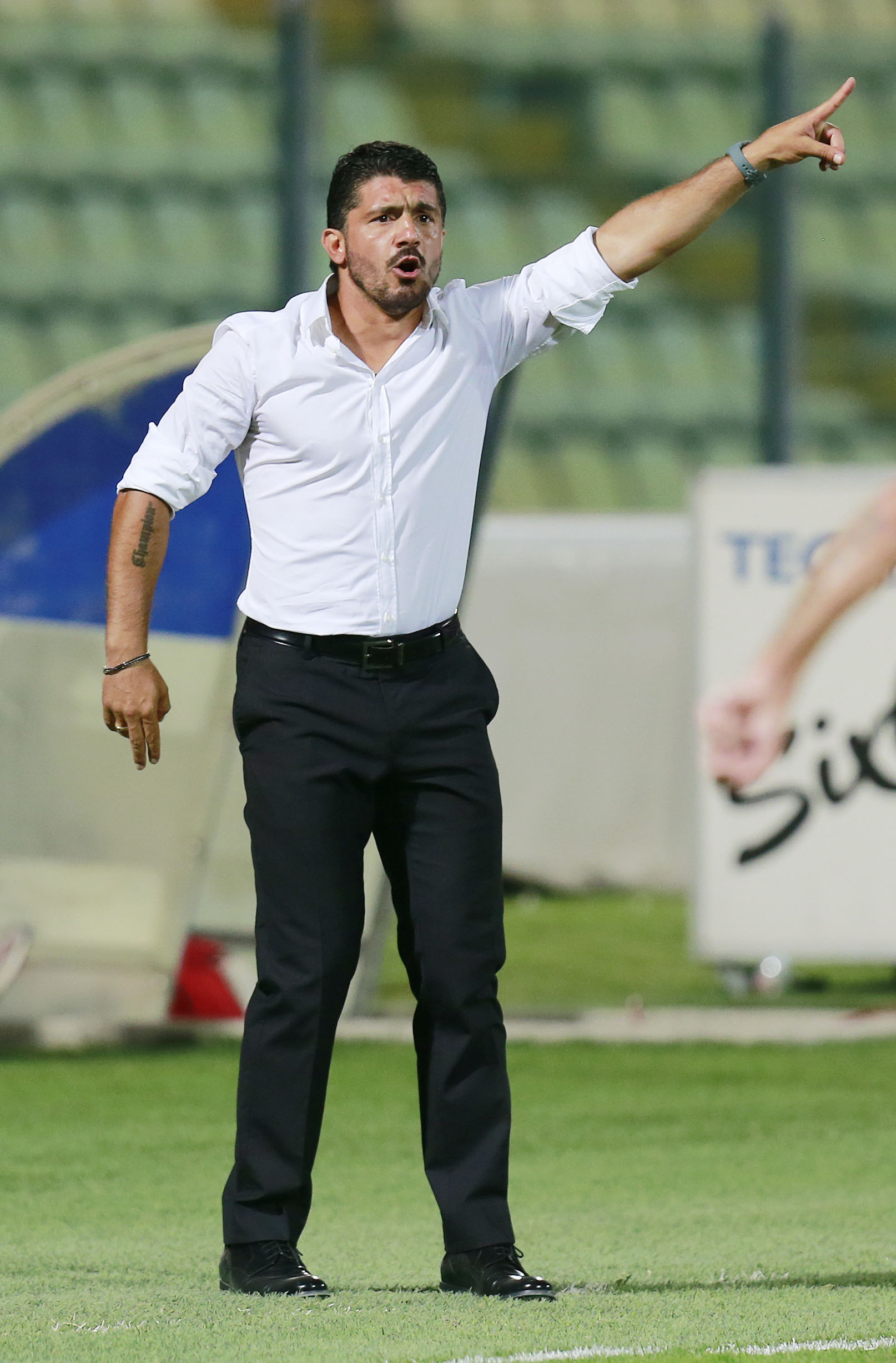 gattuso palermo indicazioni 2013 ifa