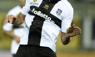 gobbi salta parma 2013 ifa