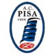 pisa logo